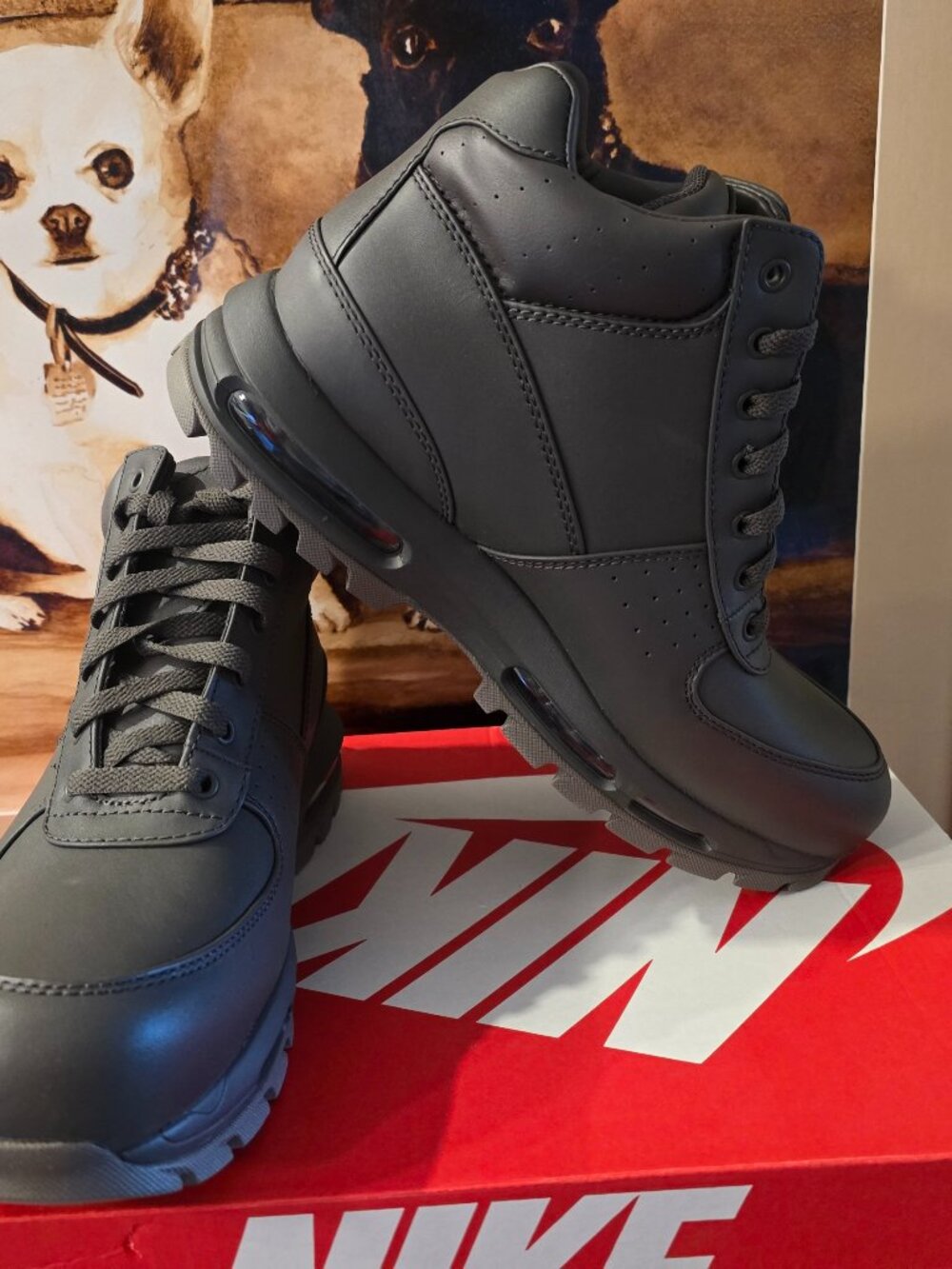 Nike Air Max Goadome Medium Ash FZ1314 200 Leather Boots Boot Mens 12 US NEW